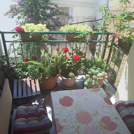 Apartments Knezic Igrane Dış mekan fotoğraf