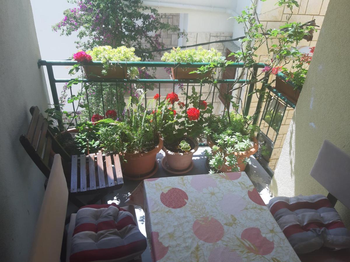 Apartments Knezic Igrane Dış mekan fotoğraf