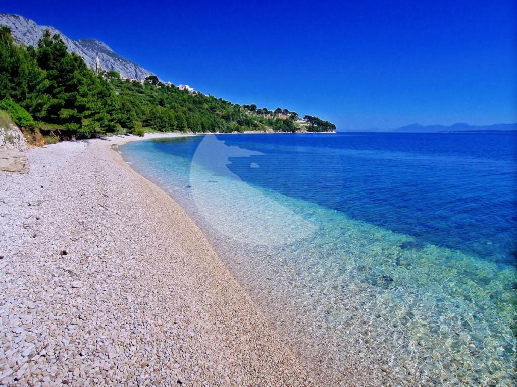 Apartments Knezic Igrane Dış mekan fotoğraf